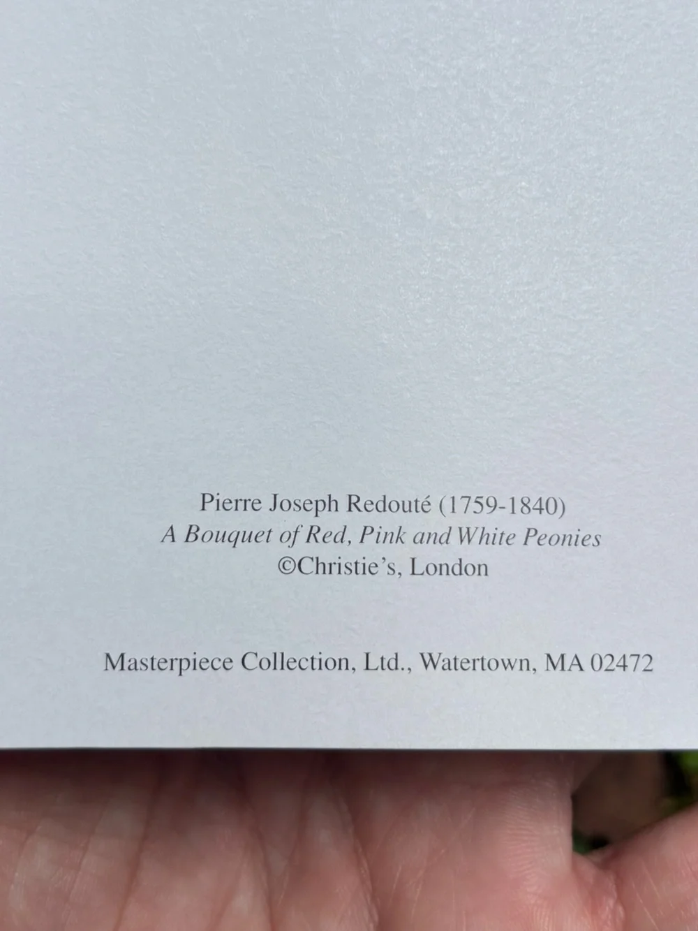 Vintage Redouté Peony Art Note Cards - Christie's London (3ct)